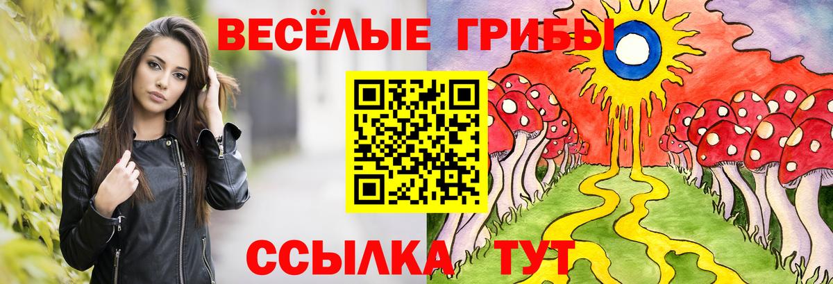 Обнинск  Псилоцибиновые грибы Cubensis  Вход с VPN 